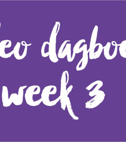 Video dagboeken week 3