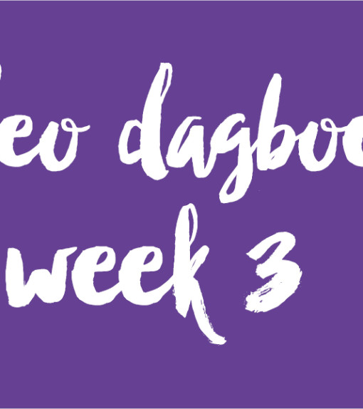 Video dagboeken week 3