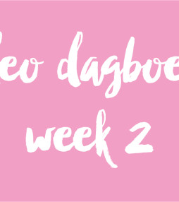 Video dagboeken week 2