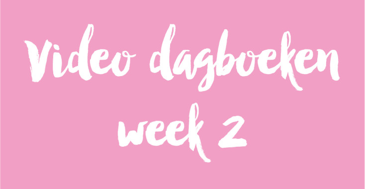 Video dagboeken week 2