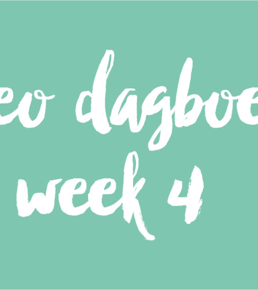 Video dagboeken week 4