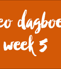 Video dagboeken week 5