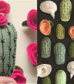 Instagram tip: hello cactus!