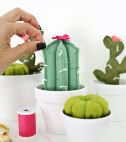 DIY | Cactus speldenkussen