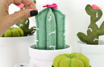 DIY | Cactus speldenkussen