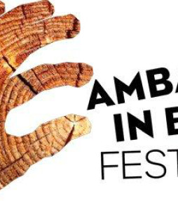 Uittip: Ambacht in Beeld Festival