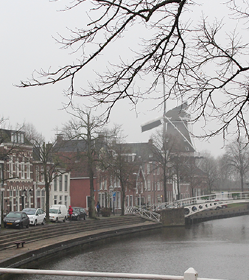 Op stap met Knip: Dokkum