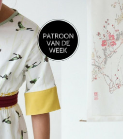 Patroon van de week: jurk