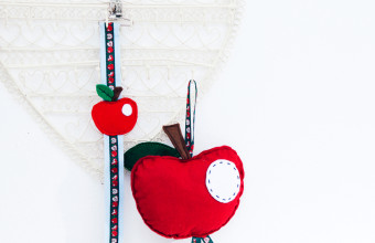 DIY KNIPPIE Appel kraamcadeautjes