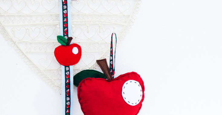 DIY KNIPPIE Appel kraamcadeautjes